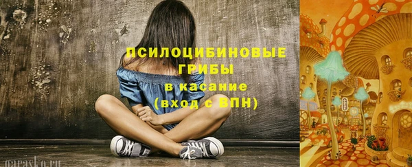 MDMA Дмитровск