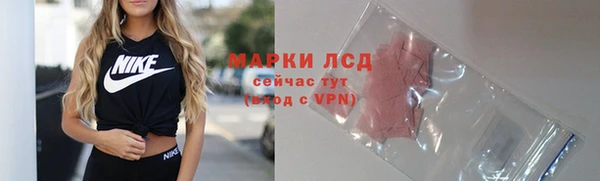 спайс Дмитриев