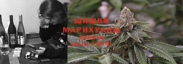 спайс Дмитриев