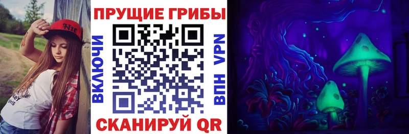цена   маркетплейс как зайти  Галлюциногенные грибы прущие грибы  Данилов 